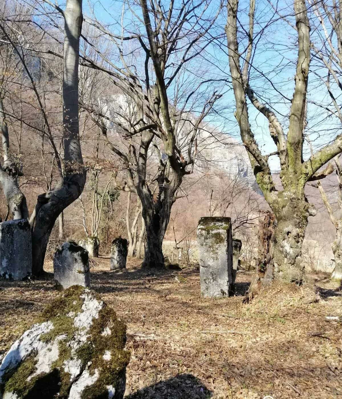 Stećci u Bečanima
