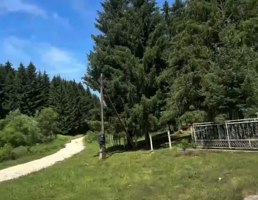 Vidikovac na Bisini