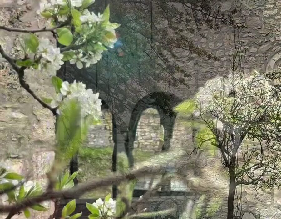 Detalj manastira Papraća